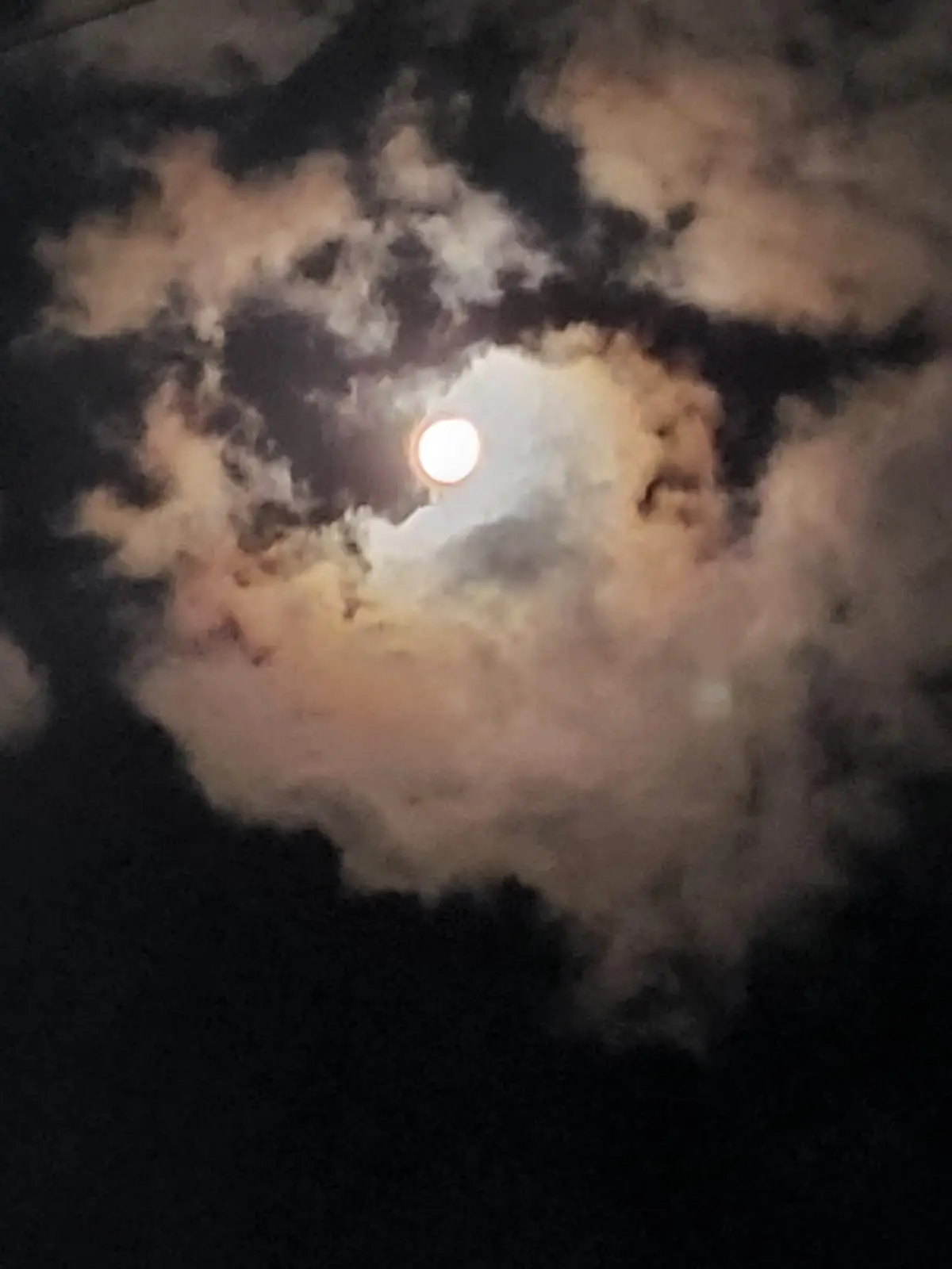 file - 2026-04-28T161907.579.webp